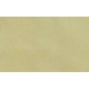  7725 Bouillon in Eggshell by Pindler Fabric