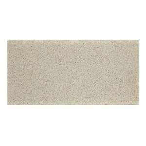  Dune Megalos Vitra 12 x 24 Silex Glass Ceramic Tile