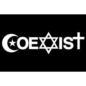    Coexist ~ Coexist Zen Magnet ~ 2 X 3 Magnet