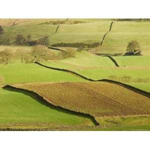 , Lower Slopes of Pennines, Eden Valley, Cumbria, England, United 
