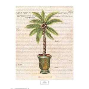  Palm with Pot Danduze by Samantha Archetti 22x28