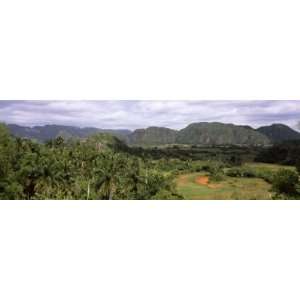  Trees with Mountain Range in Back, Valle De Vinales, Pinar 
