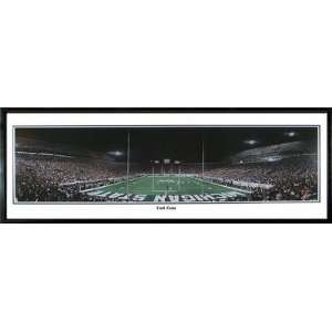  Michigan State Spartans End Zone Everlasting Images Framed 