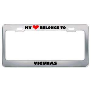 My Heart Belongs To Vicunas Animals Metal License Plate Frame Holder 