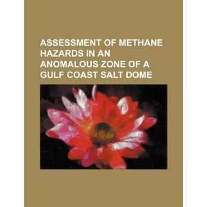   of methane hazards in an anomalous zone of a Gulf Coast salt dome