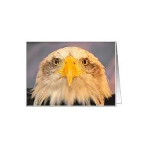 Bald Eagle Card