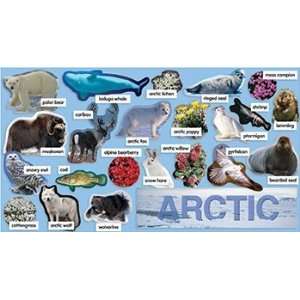  Arctic Plants & Animals Mini Bb Set