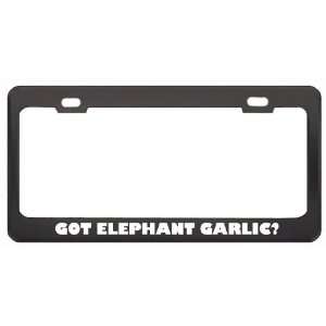Got Elephant Garlic? Eat Drink Food Black Metal License Plate Frame 