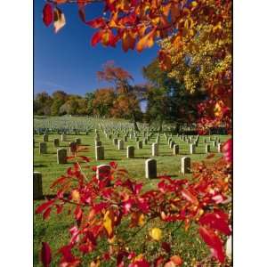  Autumnal View of Arlington National Cemetery National 
