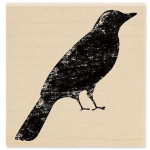  Textured Bird   Rubber Stamps Arts, Crafts & Sewing
