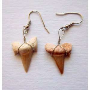  Wire Wrapped Fossil Shark Teeth Earrings from the Moroccan 