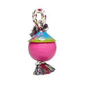  Jolly Pets Inc. Romp n Roll Pink Bubble Gum 4.5 Pet 