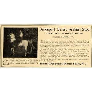  1907 Ad Homer Davenport Arabian Stud Horse Stable 
