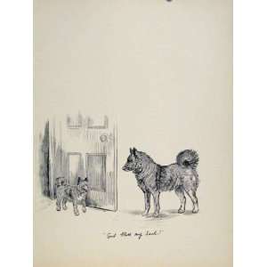   Dog Hound Door Pet Animal Sketch Print Old Art C1938