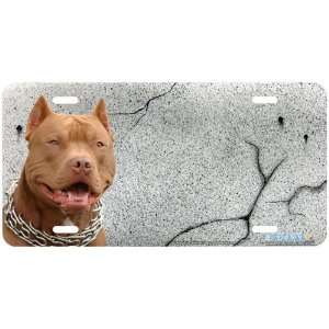  386 Pitbull on Granite Pitbull License Plates Car Auto 