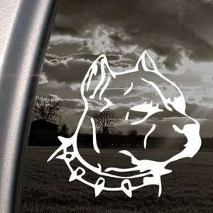  PIRATE CITY Pitbull Dog Head Decal Window Sticker 