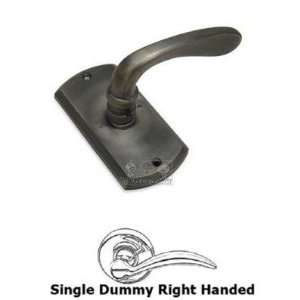     single dummy right handed paddle lever with co