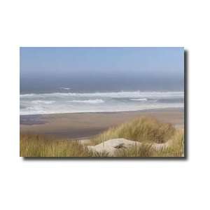  Umpqua Dunes Giclee Print