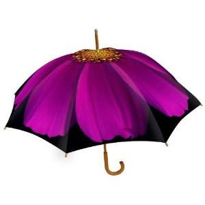 Purple Cosmo   Fashion Print 48 Inch Arc Stick Umbrella  