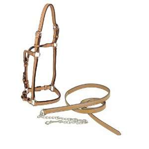   Tory Leather 3/4 Horse Western Show Halter w/Lead