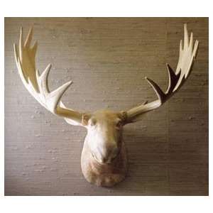  Roost Carved Wood Moose Head