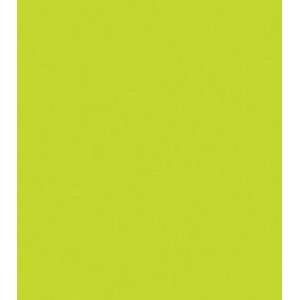  Bright Green Paper Company Spectrum Cardstock 12X12 25/Pkg 