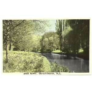  1930s Vintage Postcard Avon River   Christchurch New 