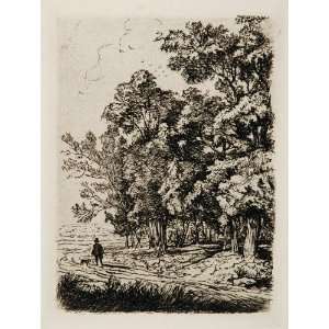   Hamerton Waterloo Trees Landscape   Original Etching