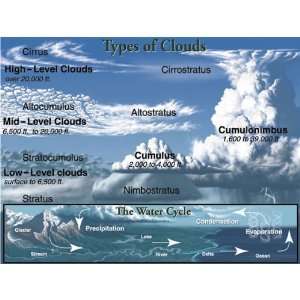  Types of Clouds Chart (9781936024445) Mark Twain Media 