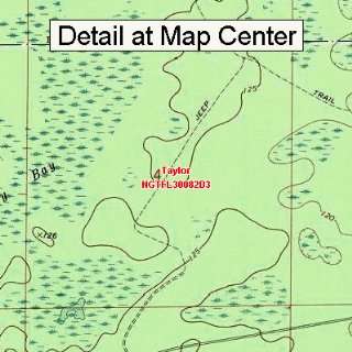  USGS Topographic Quadrangle Map   Taylor, Florida (Folded 
