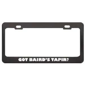 Got BairdS Tapir? Animals Pets Black Metal License Plate Frame Holder 