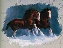 Snow King Brown Horses Horse T Shirt Tee Hoodie Sweatshirt Tank Top 