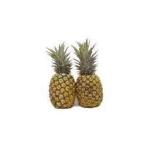 Fresh Tropical Gold Hawaiian Pineapples (2 ea)  Grocery 