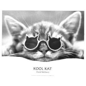  David McEnery Kool Kat Cat Kitten   Photography Poster 