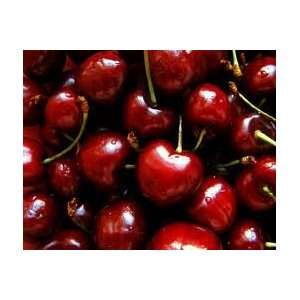   Oil Scented Oil Fragrance Oil, Cherry, by le neon oil 