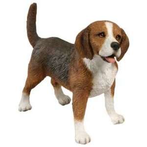  Beagle   Mid Size 