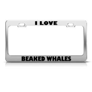  I Love Beaked Whales Whale Animal Metal License Plate 
