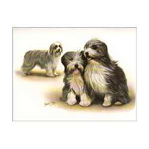  Bearded Collie Notecard 