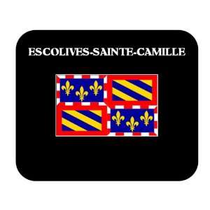  Bourgogne (France Region)   ESCOLIVES SAINTE CAMILLE 