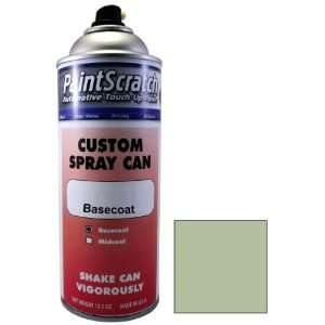 of Light Seaspray Green Metallic Touch Up Paint for 1981 Plymouth All 