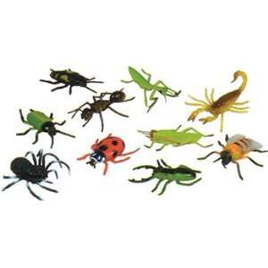  5 Insects Set Of 10
