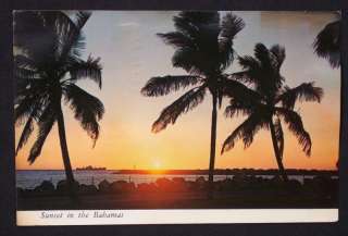 1987 Sunset Palm Trees Bahamas Postcard  