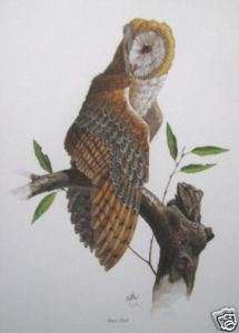 Barn Owl by Don Balke; Signed & Numbered Print  