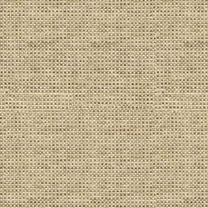  31512 1635 by Kravet Smart Fabric