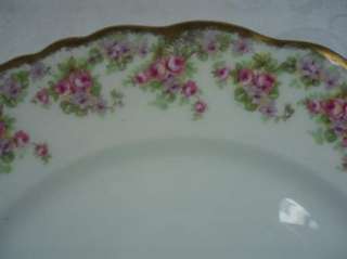 Limoges Elite Works Bridal Wreath Dinner Plate  