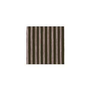  wild thing   sizzling stripes scrapbook paper Health 