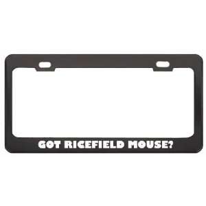 Got Ricefield Mouse? Animals Pets Black Metal License Plate Frame 