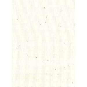  RAFFIA WHITEWASH L 200WHI Arts, Crafts & Sewing