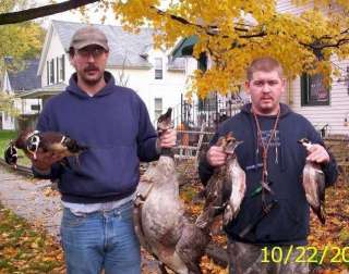 regular duck or goose seasons $ 75 regular rate $ 125