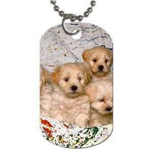  Cute puppy litter Dog Tag with 30 chain necklace Great 